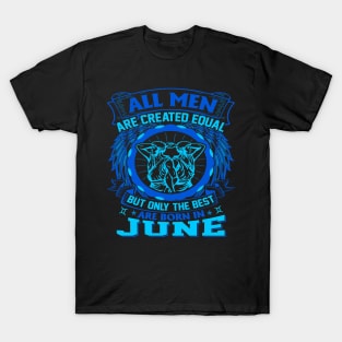 Zodiac Sign Gemini T-Shirt